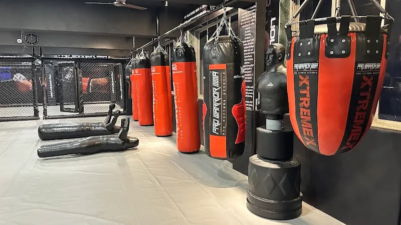 Pro Warrior MMA | Gym in Chembur