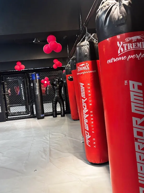 Pro Warrior MMA | Gym in Chembur