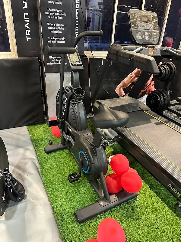 Pro Warrior MMA | Gym in Chembur