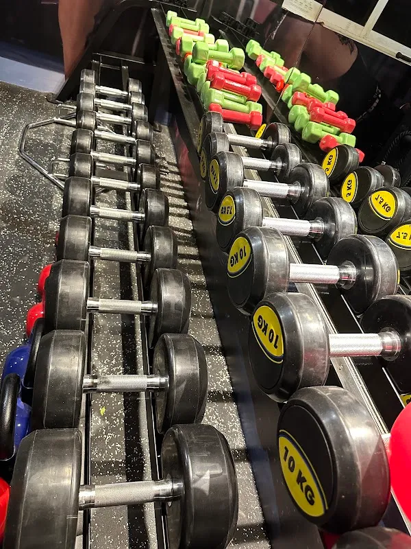 Pro Warrior MMA | Gym in Chembur