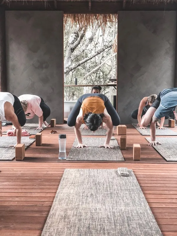 Health Hunter Integrated Yoga & Ayurveda