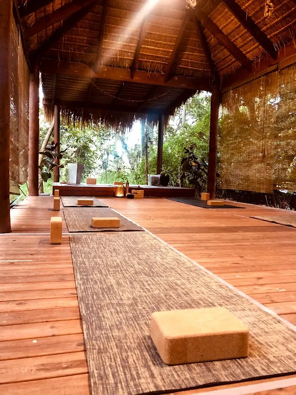 Health Hunter Integrated Yoga & Ayurveda