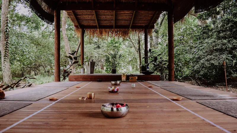 Health Hunter Integrated Yoga & Ayurveda