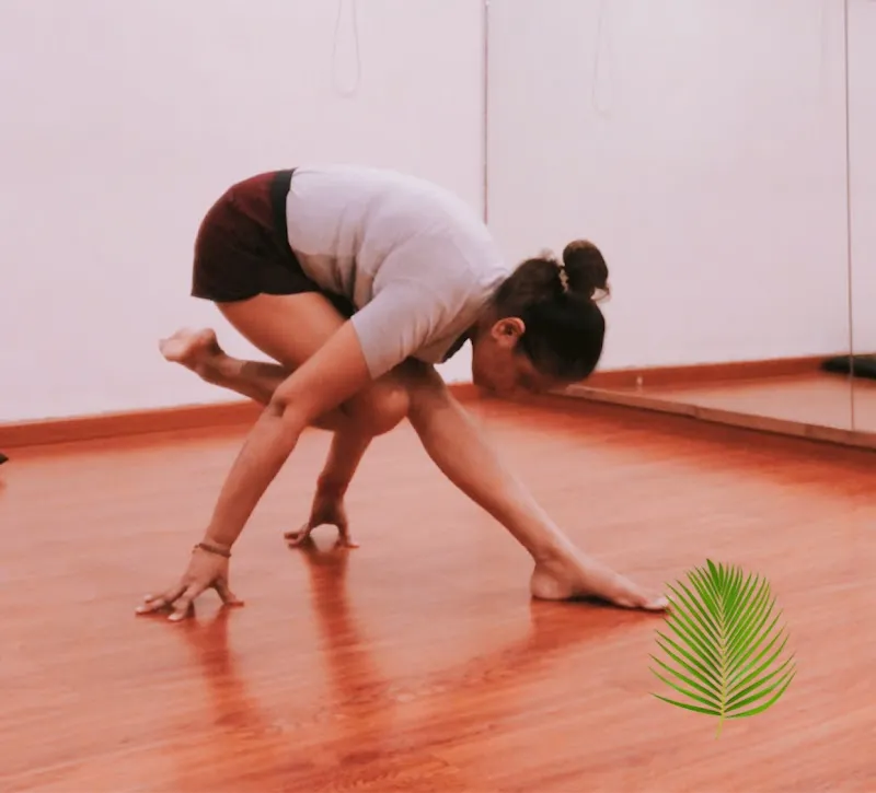 Laxmana Yoga and Pilates | Yoga & Pilates training in Chembur | Astanga | Vinyasa flow