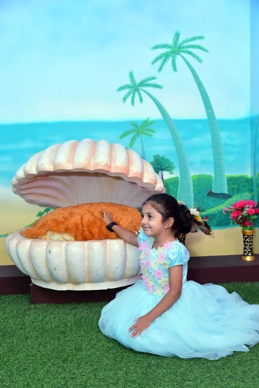 Gayathri Photo Studio