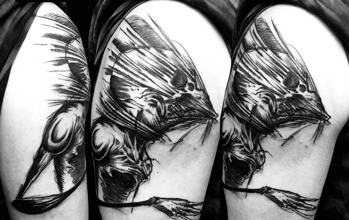 Invictus Tattoo & Piercing