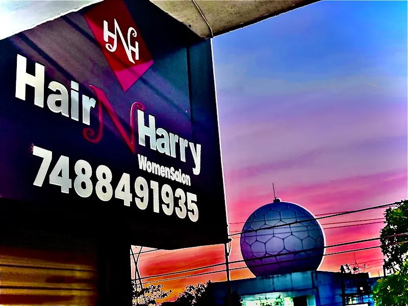 hair n harry