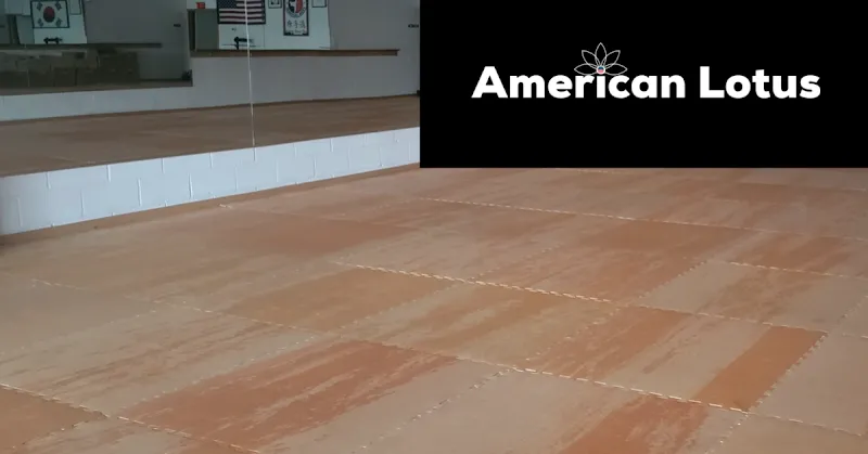 American Lotus Yoga for Everyone