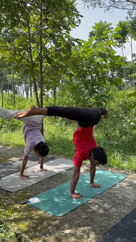 Natraj Institute of Yoga