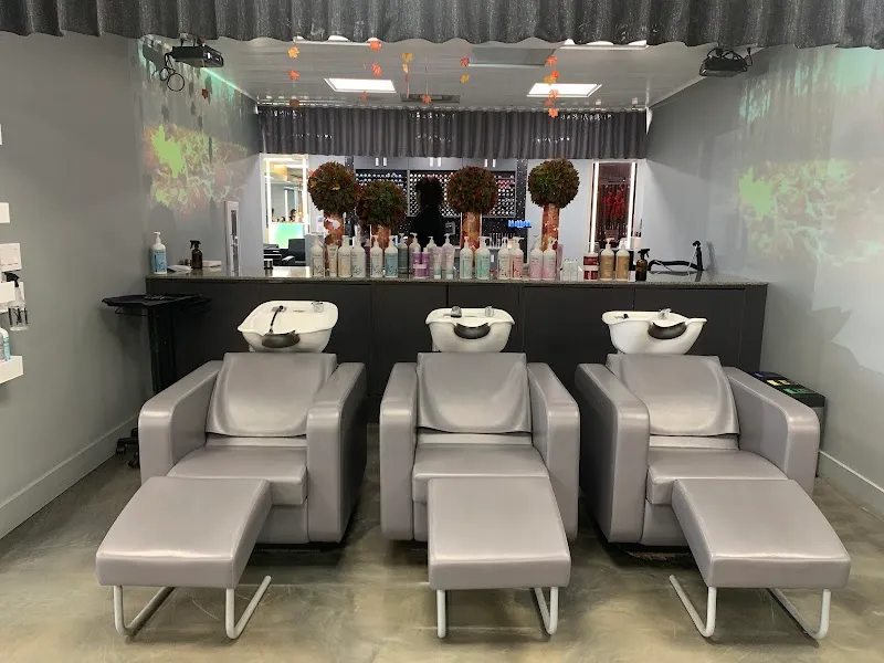 Ouidad Salon By Chadwick And Igor