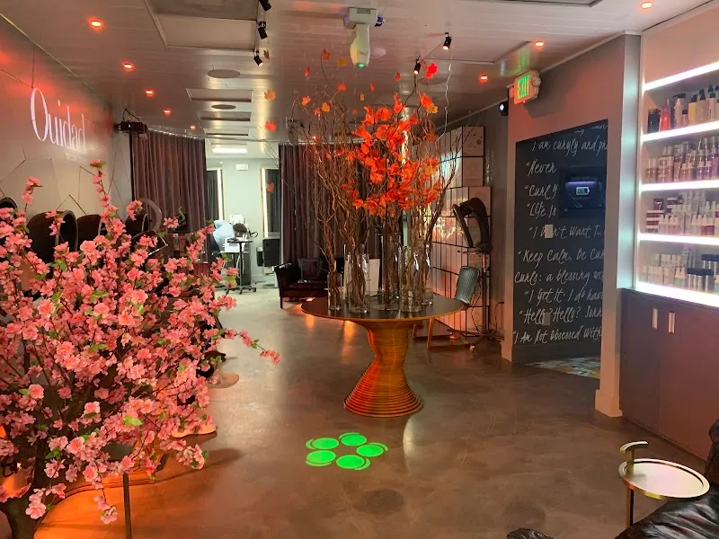 Ouidad Salon By Chadwick And Igor