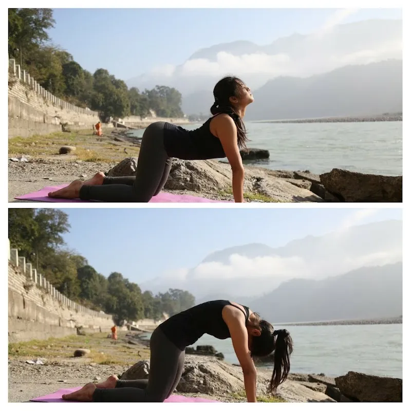 Yoga by Tarjni