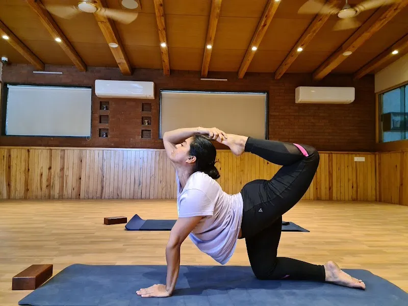 Yoga by Tarjni