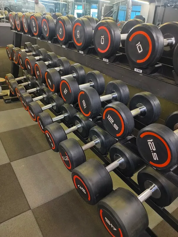 ALPHA COMBAT & FITNESS ARENA