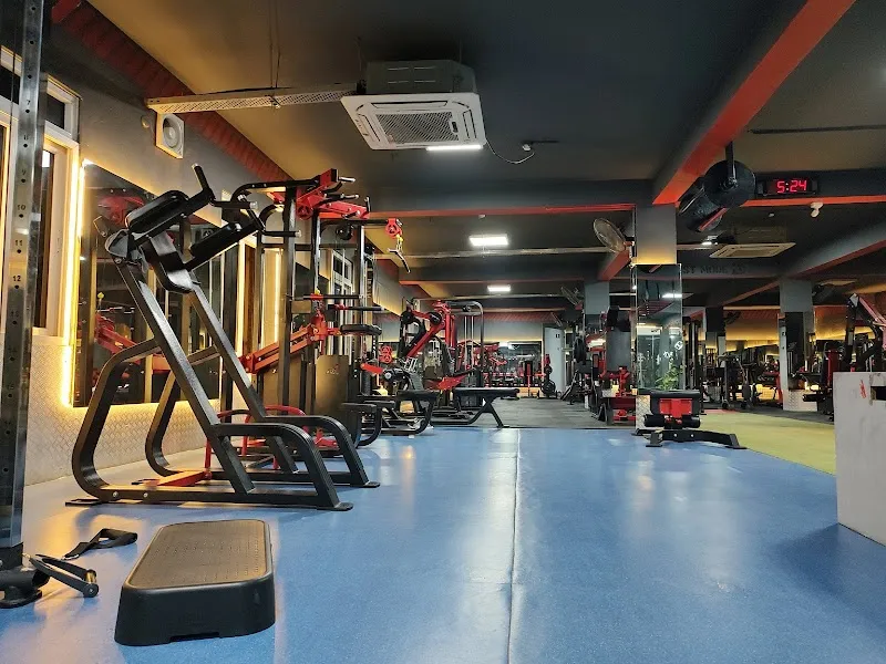 MUSCLETECH FITNESS