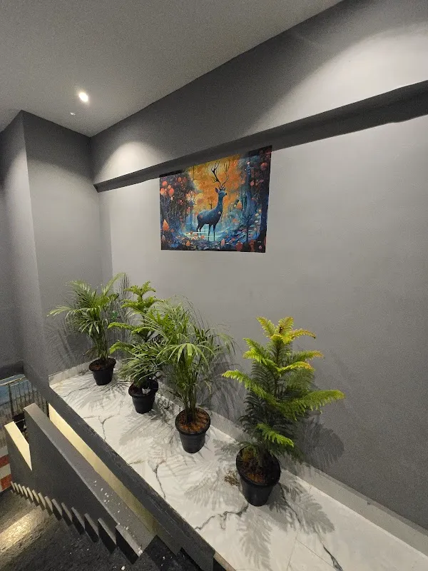 Divine salon and wellness spa