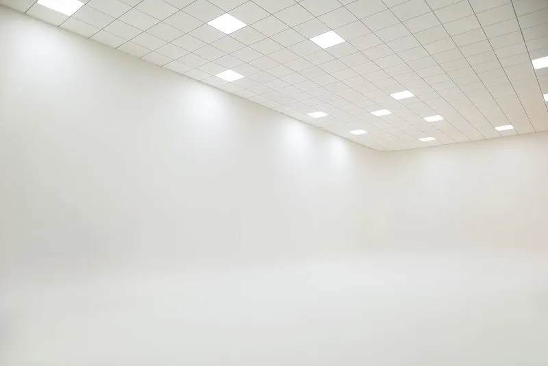 Raey by The WhiteSpace