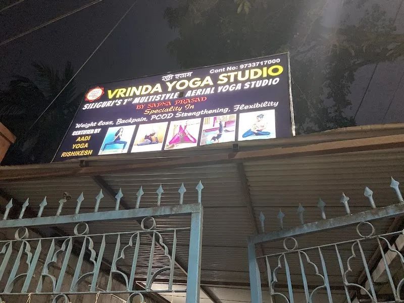 Vrinda Aerial Yoga Studio