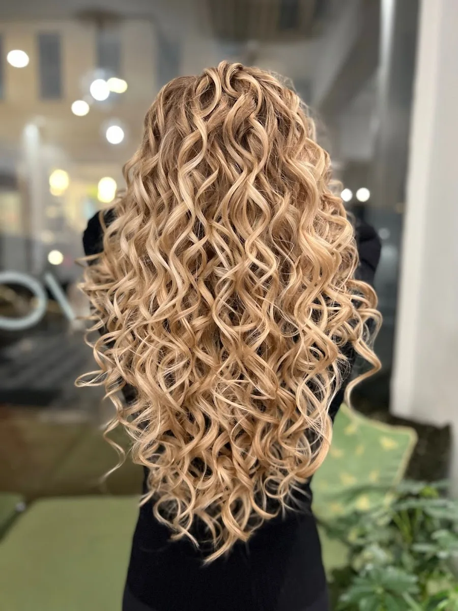Nuvo