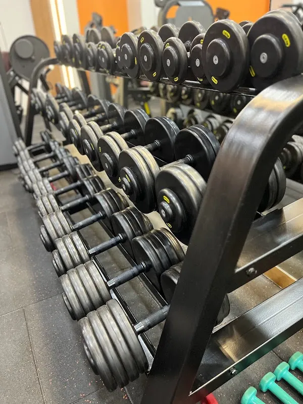 Fitness League Gym & Cross training studio
