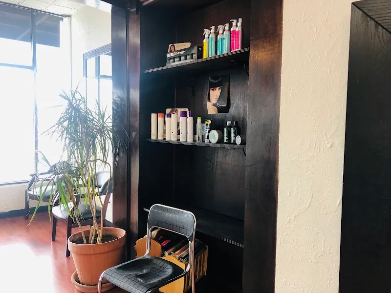 Ziba Hair Salon