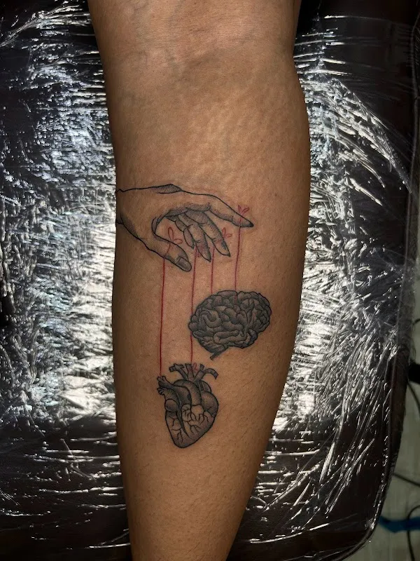 ENVY TATTOO & PIERCING & TATTOO TRAINING