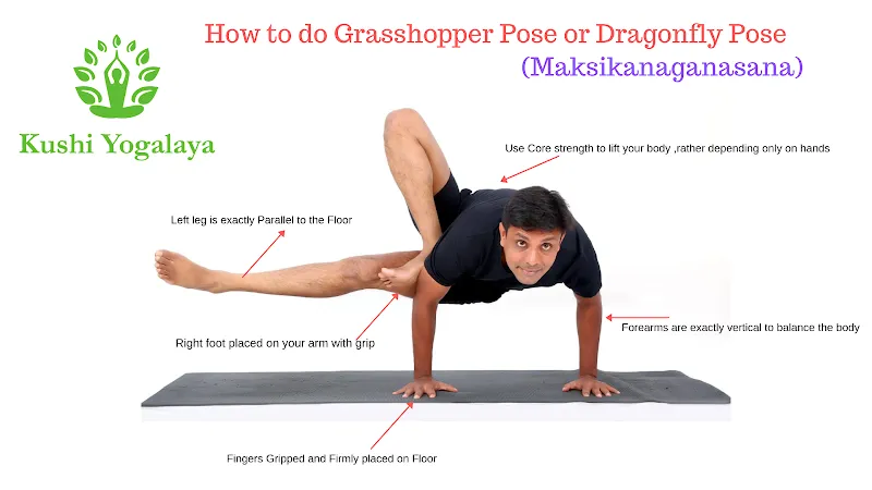 Kushi Yogalaya