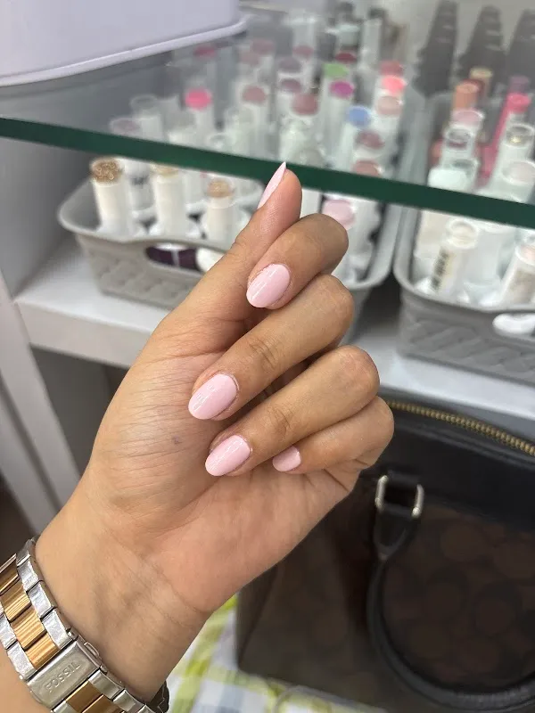 SS The Salon