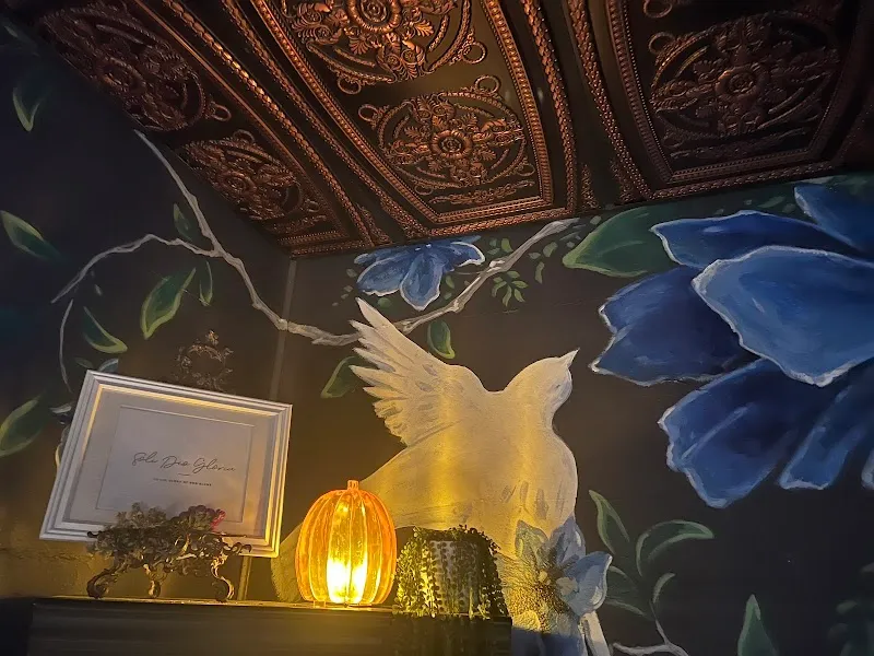 White Dove Spa