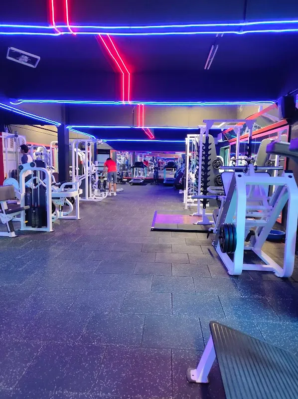 Body Muscle Gym