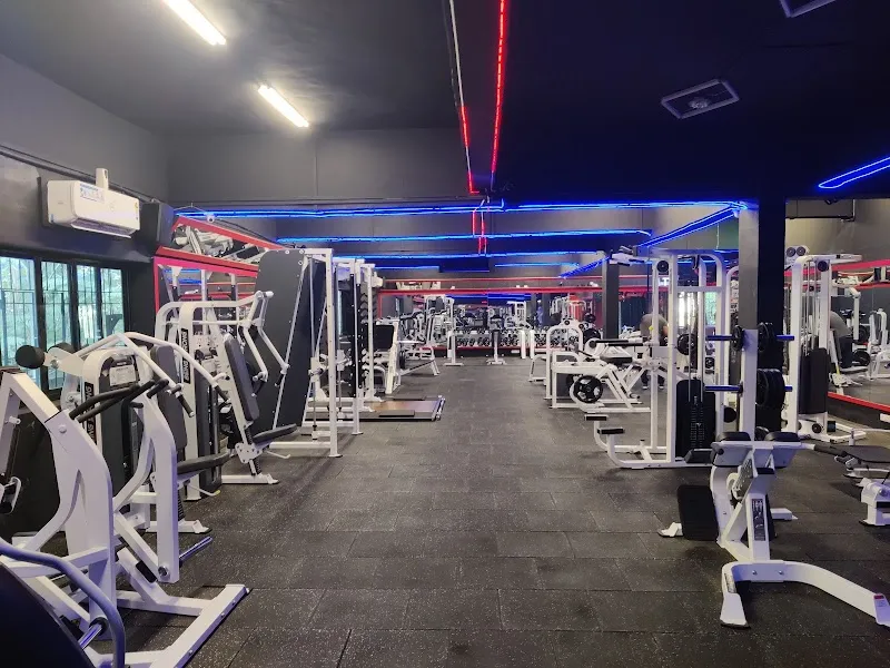 Body Muscle Gym