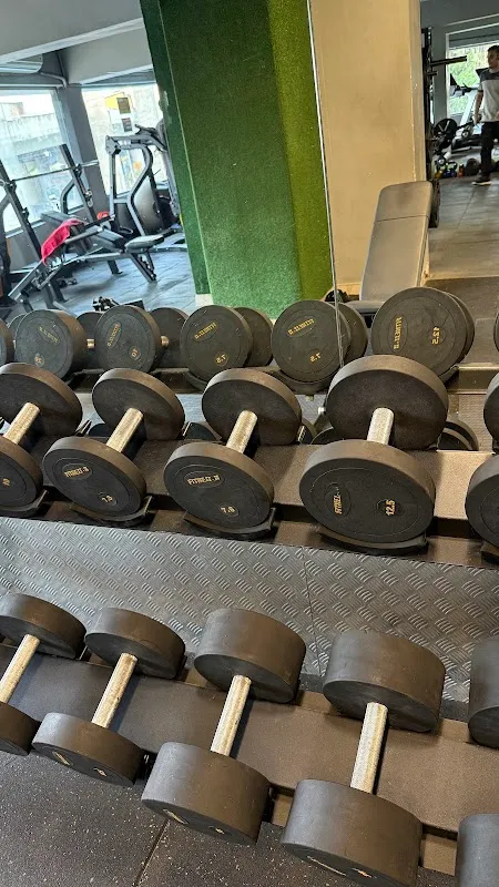 Fitness-11 the Gym
