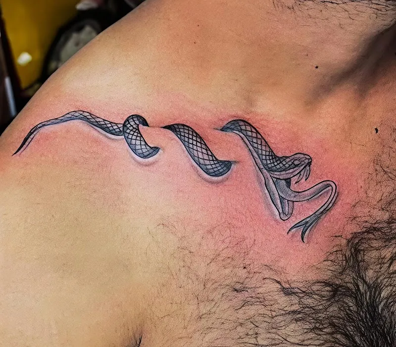 Meet Tattoo .