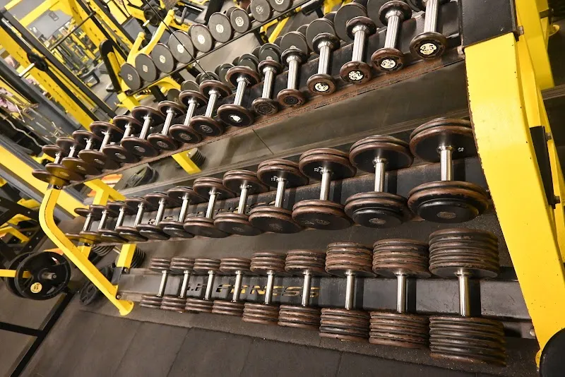 Burn It Fitness Hub