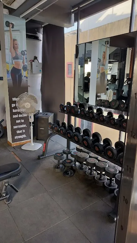 Hi Class Gym BUSINESS PREMIUM