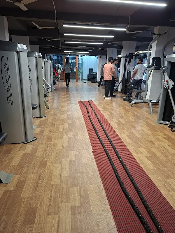 Hi Class Gym BUSINESS PREMIUM