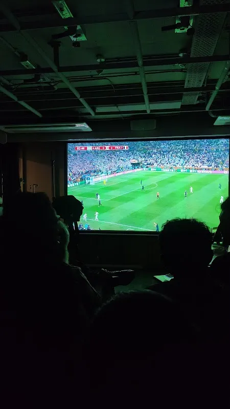 Studio EEKSAURUS, India