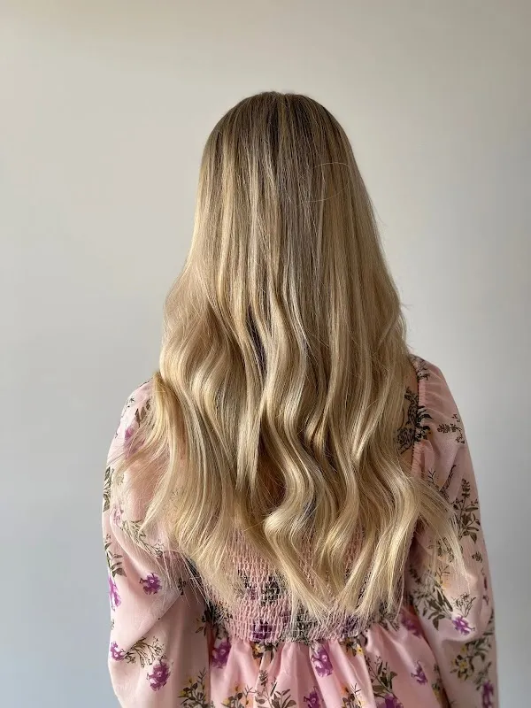Wild Roots Salon