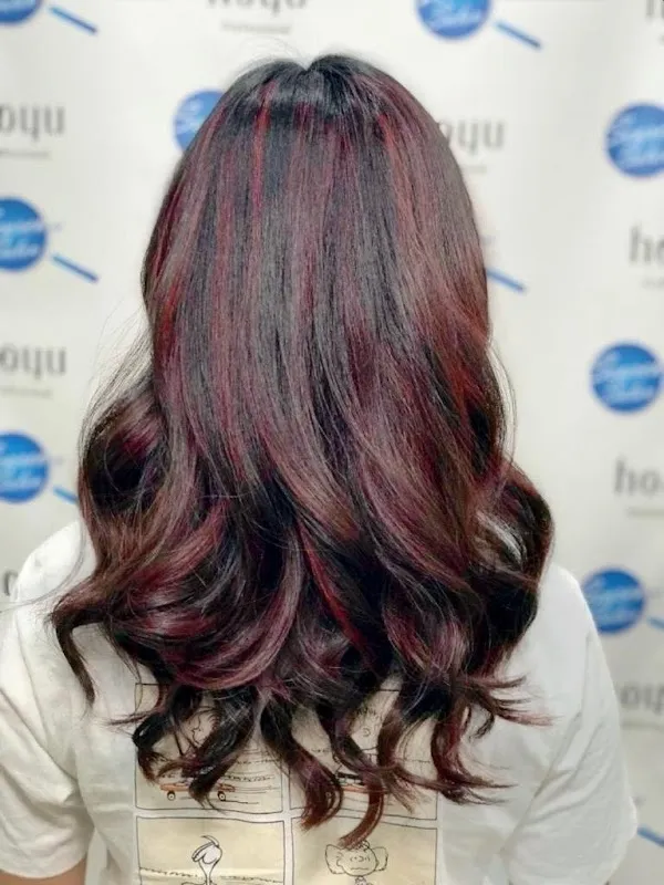 SEARCHING SALON