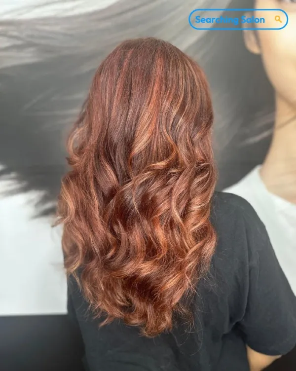 SEARCHING SALON