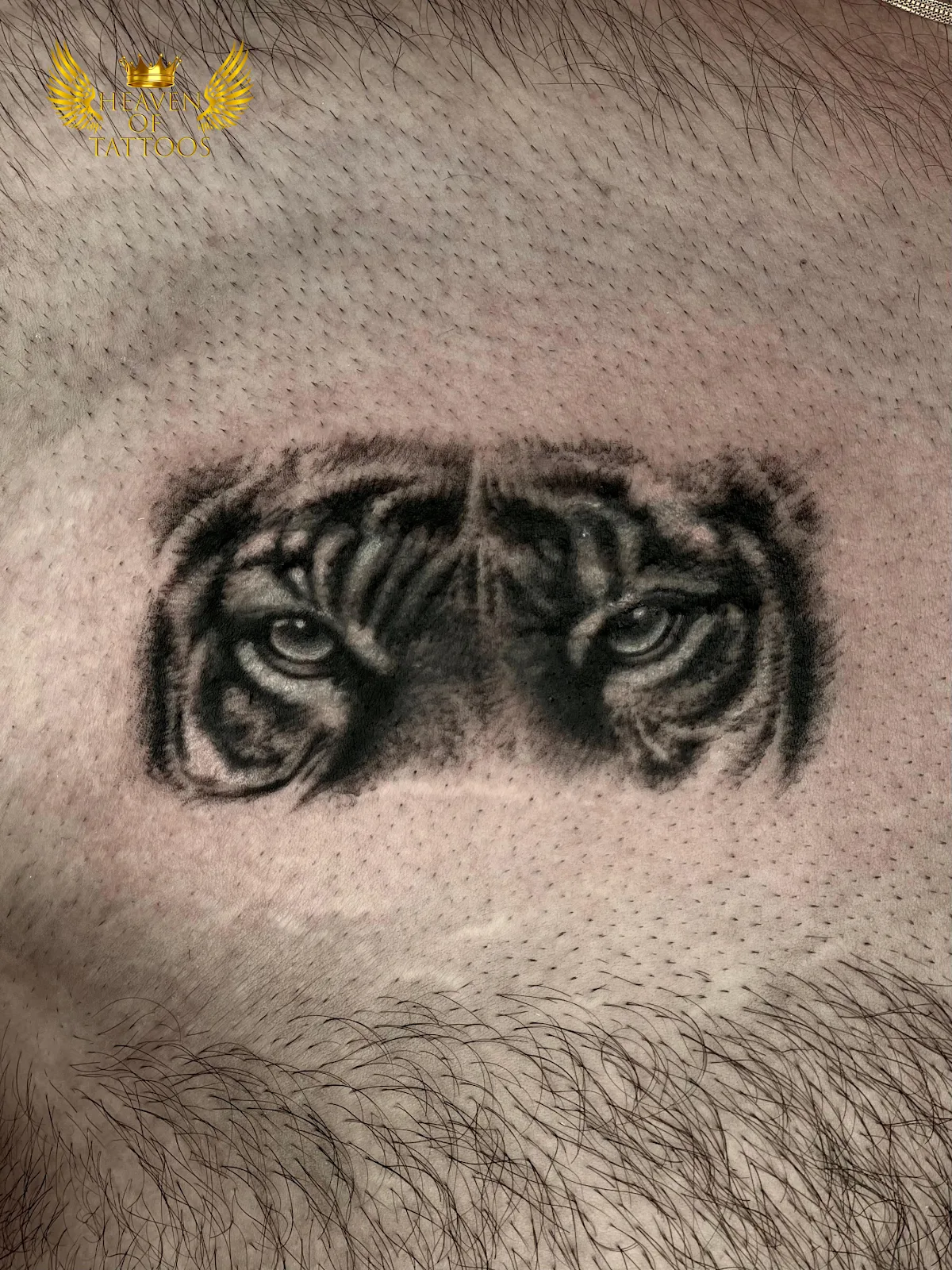 Heaven of Tattoos Ahmedabad