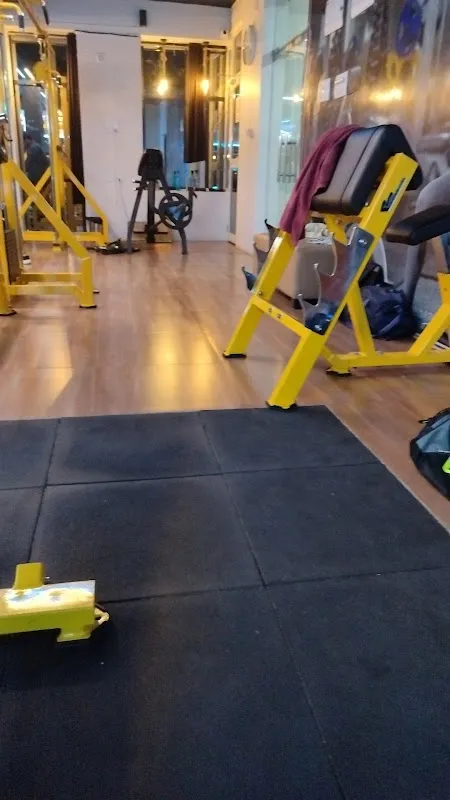 Ripped Fitness2