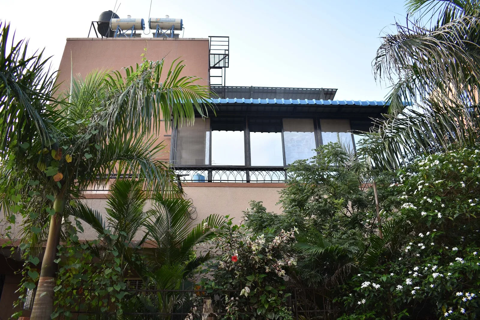 Hatha Yoga Class - Yoga Studio for Angamardana, Surya Kriya, Bhuta Shuddhi & Yogasanas