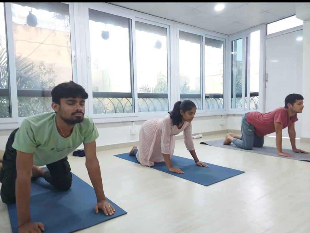 Hatha Yoga Class - Yoga Studio for Angamardana, Surya Kriya, Bhuta Shuddhi & Yogasanas