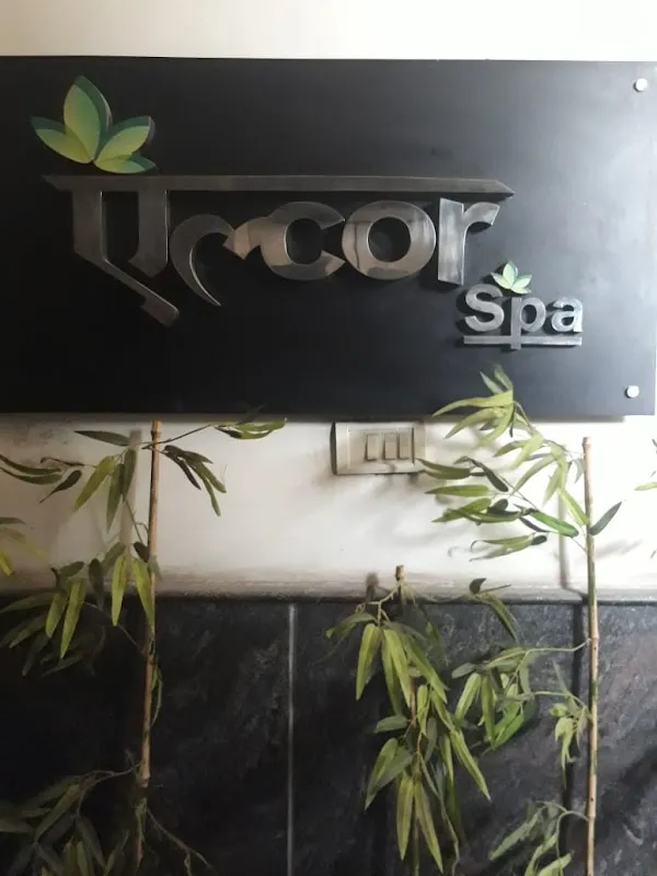 Alcor SPA - Model Town - Delhi
