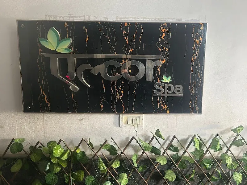 Alcor SPA - Model Town - Delhi