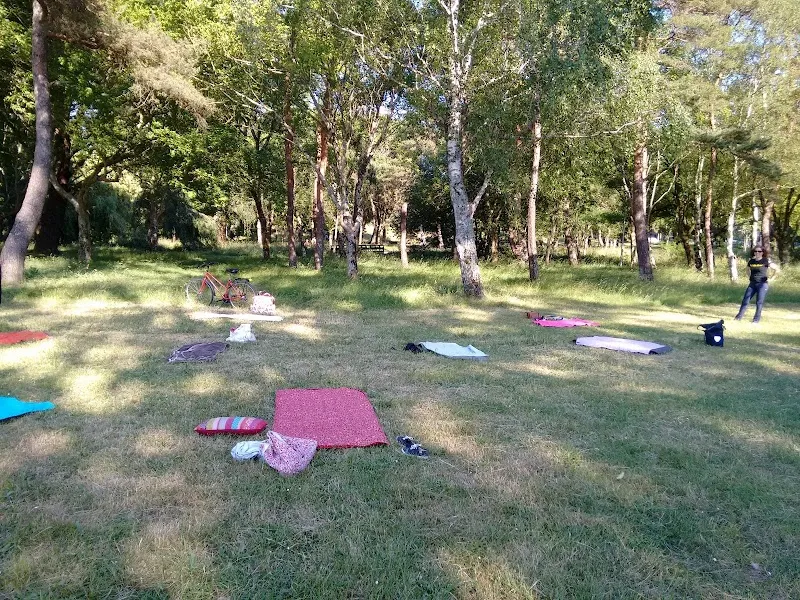Yogana