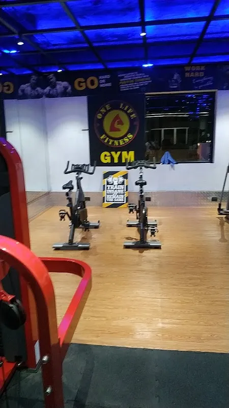 One Life Fitness