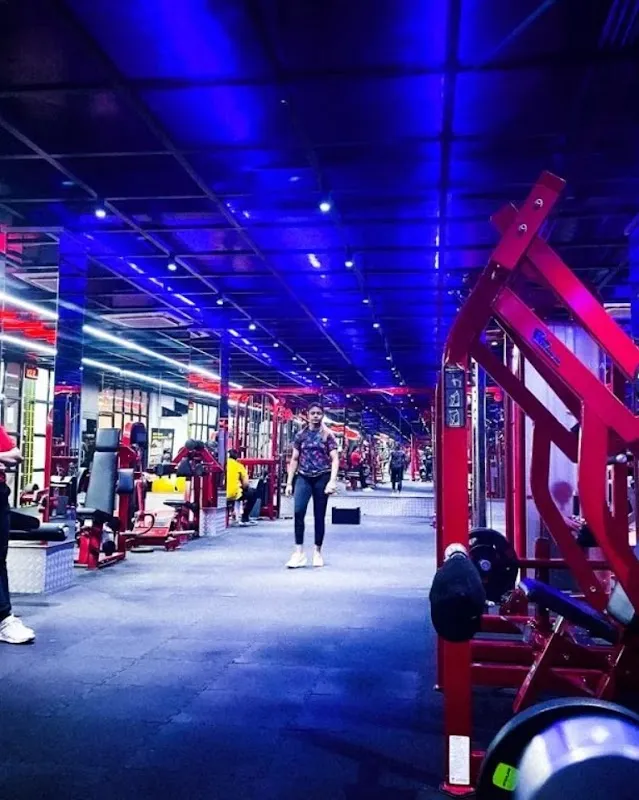 One Life Fitness