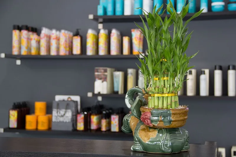 SOS Salon and Spa